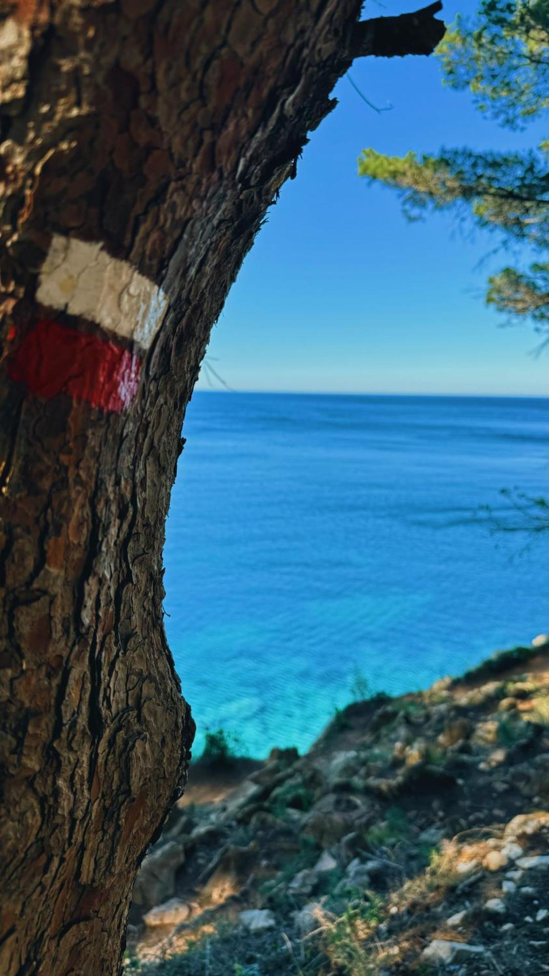 Can Romy Appartement T3 B - A 20M De La Plage De Cala Montgo L' Escala Zewnętrze zdjęcie