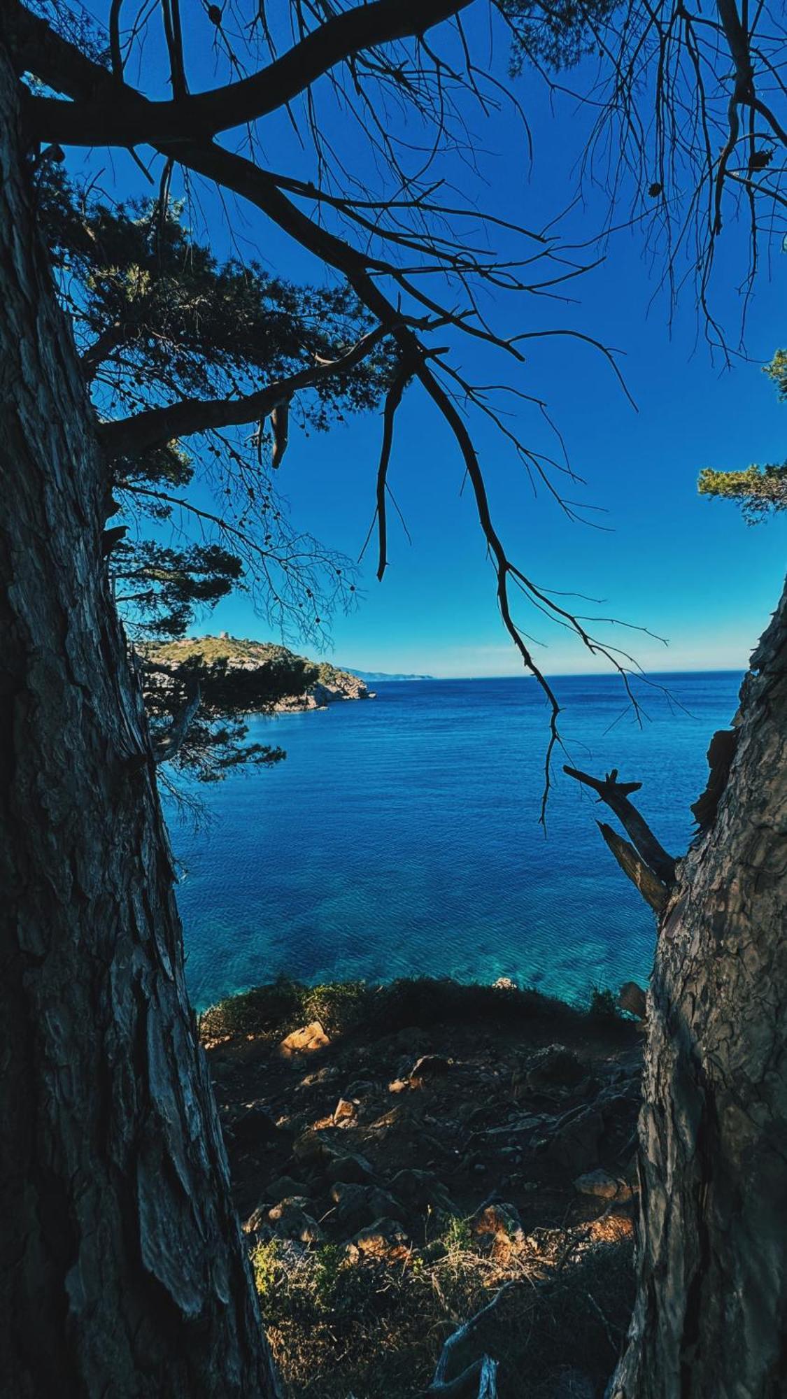 Can Romy Appartement T3 B - A 20M De La Plage De Cala Montgo L' Escala Zewnętrze zdjęcie
